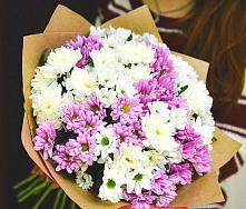 Букет цветов из:  Хризантемы #REPLACE_PRED# Лысые Горы