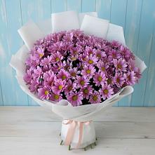 Букет цветов из:  Хризантемы в Лысые Горы