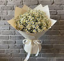 Букет цветов из:  Ромашки #REPLACE_PRED# Лысые Горы