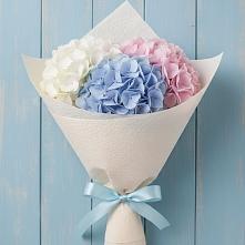 Букет цветов из:  Гортензия в Лысые Горы