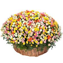 Премиум букет из: Розы #REPLACE_PRED# Лысые Горы