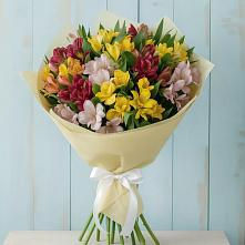 Букет цветов из:  Альстромерии в Лысые Горы