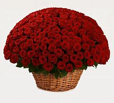 Премиум букет из: Розы в Лысые Горы